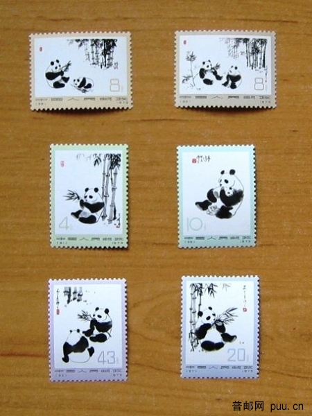 编号57-62 熊猫.JPG