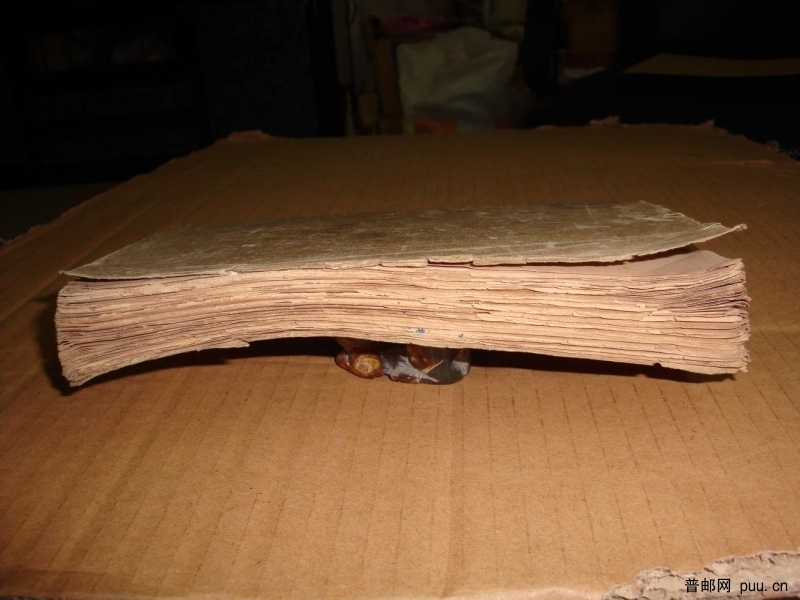 调整大小 DSC01940.JPG