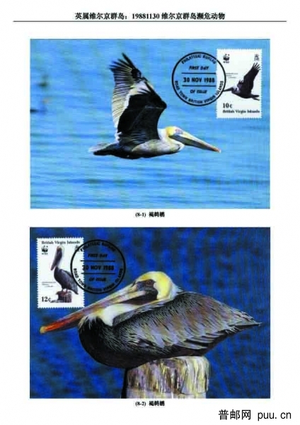 19881130维尔京群岛濒危动物1 拷贝.jpg