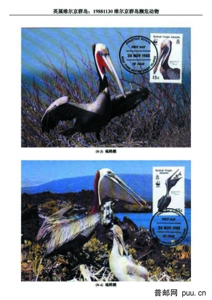 19881130维尔京群岛濒危动物2 拷贝.jpg