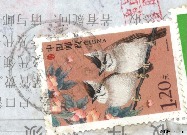 120分鸟上的提出哦特写