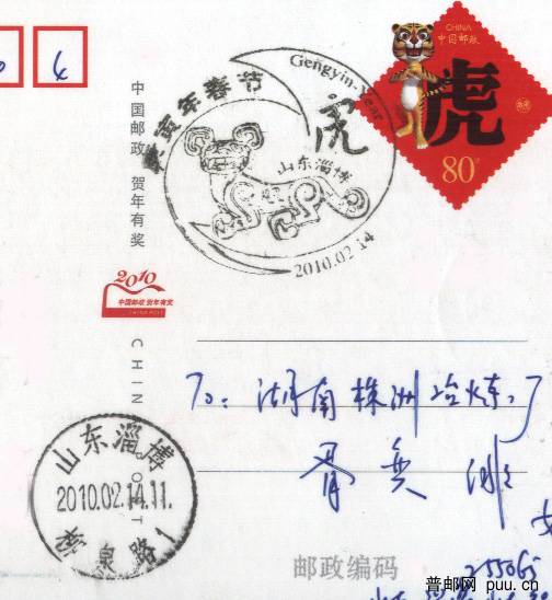 山东虎戳-1.jpg
