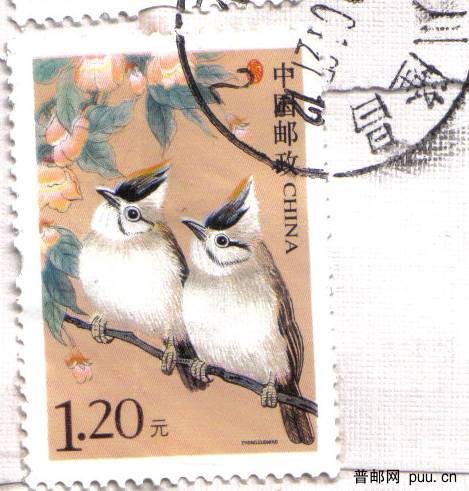 R31（1.2元· 8 H·绿叶下移-上白嘴）.jpg