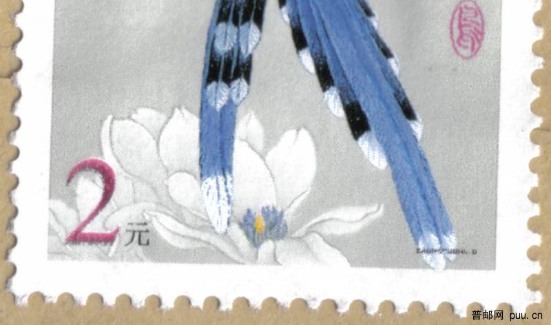 R31（2元·尾出框 2）.jpg