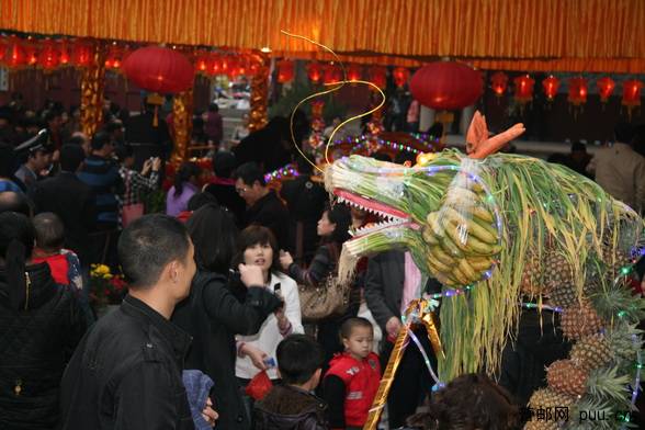 2010元宵节果蔬龙3.jpg