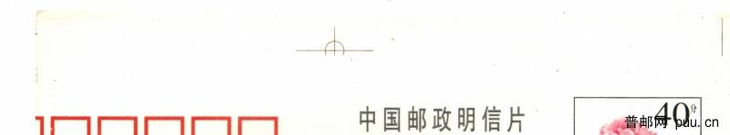 （邮政用品）玫瑰废片2.jpg