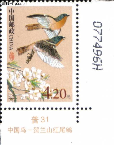 R31（4.2元·6 H）.jpg