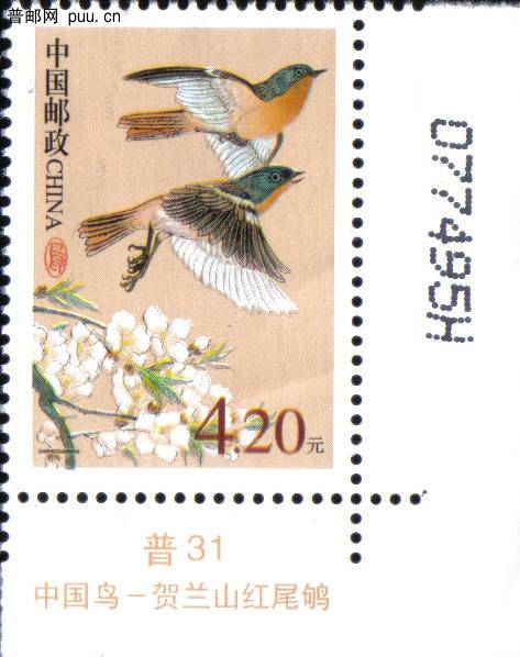 R31（4.2元·6 H）2.jpg