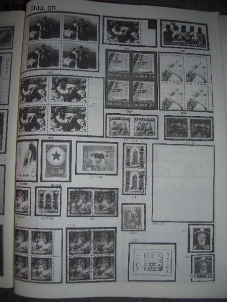 照片2010-01 005.jpg