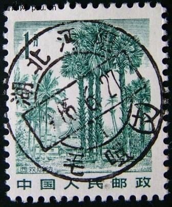 复件 DSCF0026 湖北沔阳毛嘴.JPG