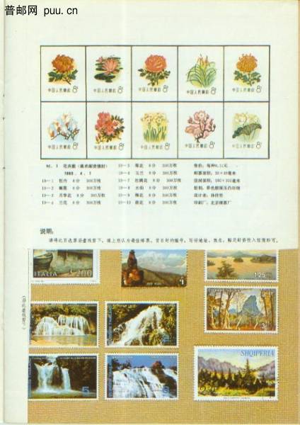 遗憾的是选票已经剪掉