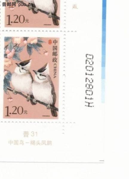 超长十字线（通常被裁掉）